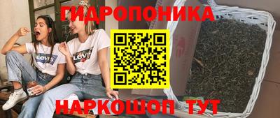 стаф Братск
